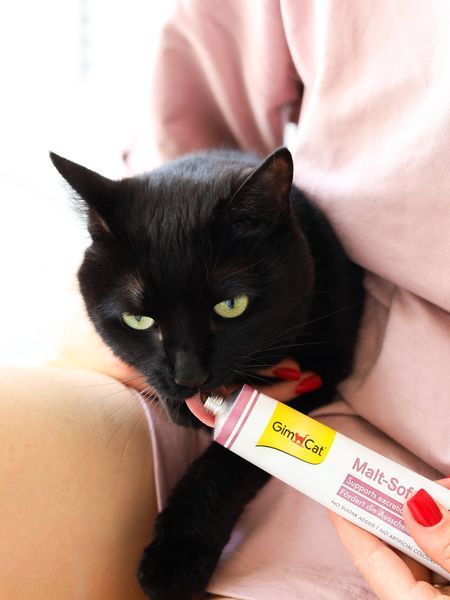 Паста GimCat Every Day Malt-Soft Paste Extra для котів для виведення шерсті зі шлунку (20 г) 1527 фото