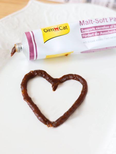 Паста GimCat Every Day Malt-Soft Paste Extra для котів для виведення шерсті зі шлунку (20 г) 1527 фото