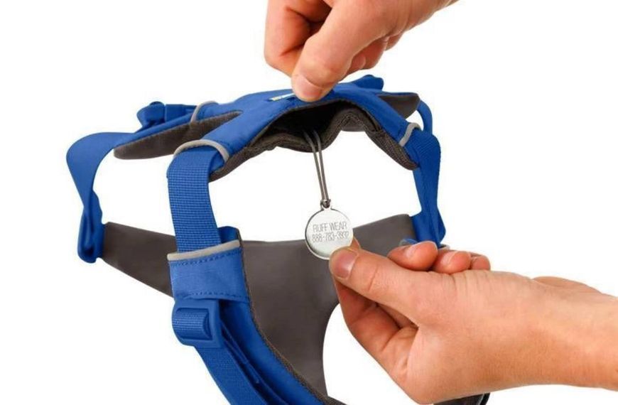 Повсякденна шлейка для собак Ruffwear Front Range (синій, М) 912 фото