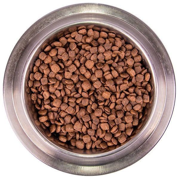 Monge Dog Bwild Grain Free Puppy & Junior качка (15 кг) 391 фото