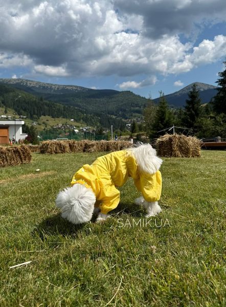 Пильник для собак Pets World з натуральної тканини, на кнопках (7XL) 356 фото