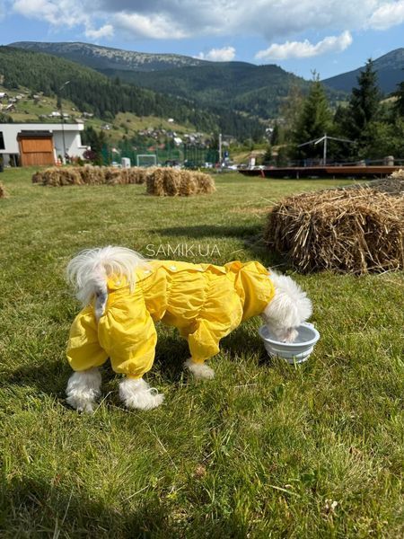 Пильник для собак Pets World з натуральної тканини, на кнопках (7XL) 356 фото