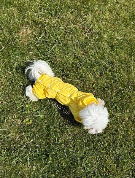 Пильник для собак Pets World з натуральної тканини, на кнопках (7XL) 356 фото