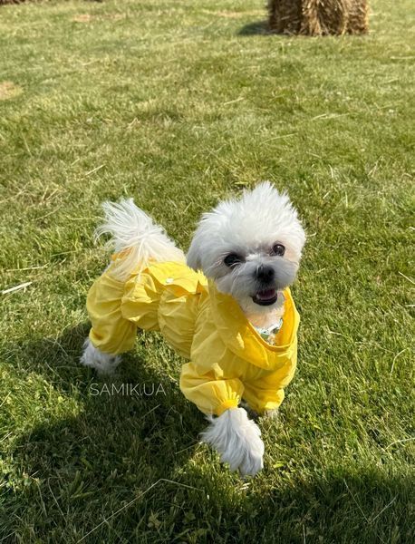 Пильник для собак Pets World з натуральної тканини, на кнопках (7XL) 356 фото