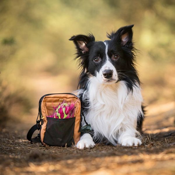 Сумка для прогулянок, пляшки та аксесуарів Woolly Wolf Hydration Shoulder Bag (Wood Brown Mix) 1574 фото