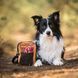Сумка для прогулянок, пляшки та аксесуарів Woolly Wolf Hydration Shoulder Bag (Wood Brown Mix) 1574 фото 7