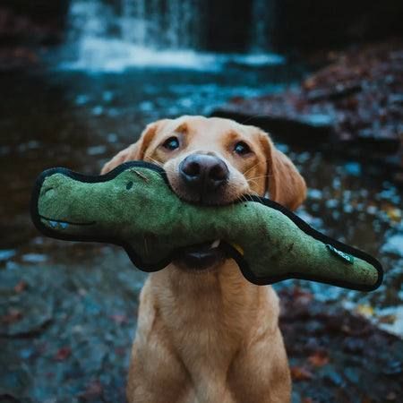 М'яка іграшка для собак Beco Pets Крокодил M 823 фото