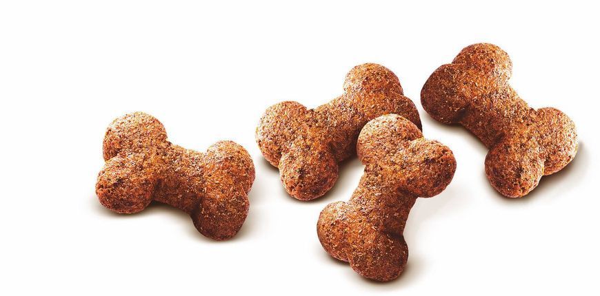 Ласощі Carnilove Dog Crunchy Snack Wild Boar with Rosehips для активних собак для швидкого відновлення з диким кабаном та шипшиною 1222 фото
