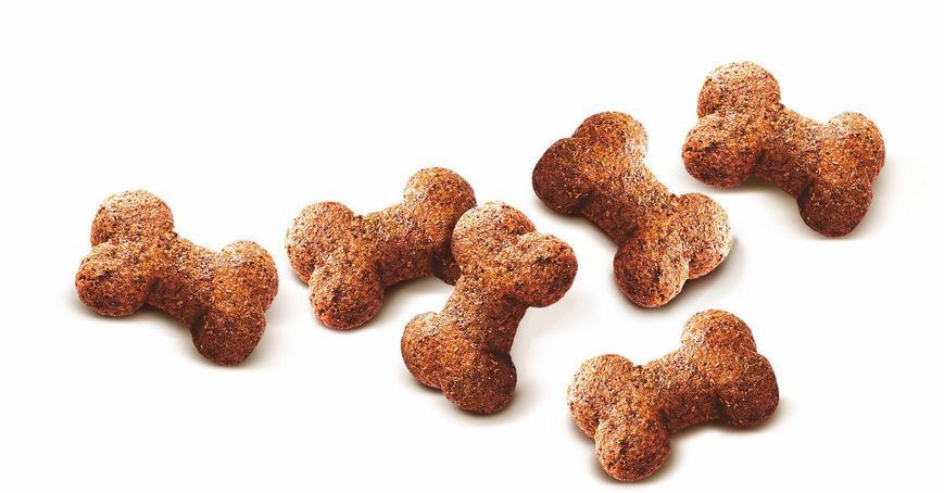 Ласощі Carnilove Dog Crunchy Snack Ostrich with Blackberries для собак для здоров'я серця зі страусом та ожиною 1224 фото