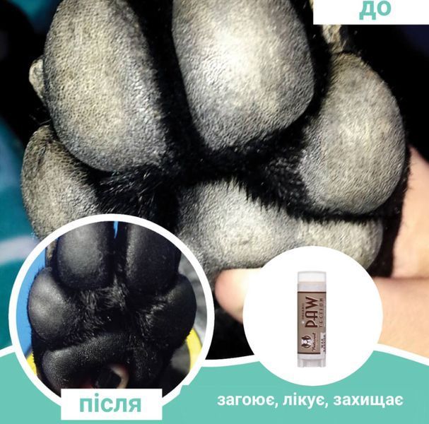 Бальзам для захисту лап Paw Tection Natural Dog Company (4,25 мл стік) 097 фото