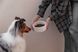 Керамічна миска для собак Ceramic Bowl Harley&Cho 069 фото 6