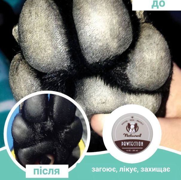Бальзам для захисту лап Paw Tection Natural Dog Company (30 мл туба) 097 фото