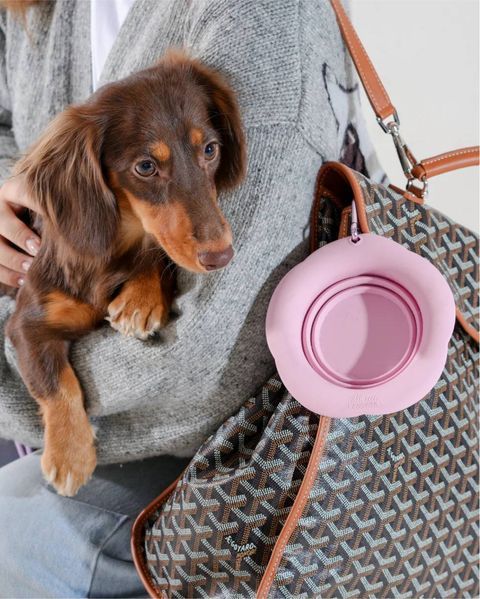 Складна миска для собак Maogoublue &mdash; Marshmallow Foldable Bowl Pink (М, 450 мл) 1515 фото