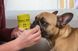 Серветки для складочок Natural Dog Company Wrinkle Wipes 1052 фото 6