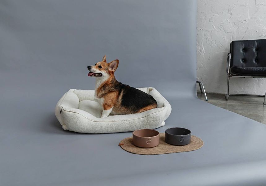 Керамічна миска для собак Ceramic Bowl Harley&Cho 069 фото