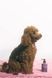Рідке мило для лап, Gothic bloom LAPUNZEL 364 фото 3