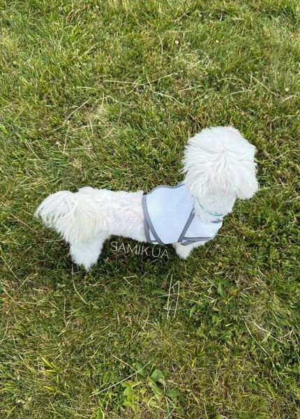Охолоджувальний жилет для собак Pets World (4XL) 357 фото