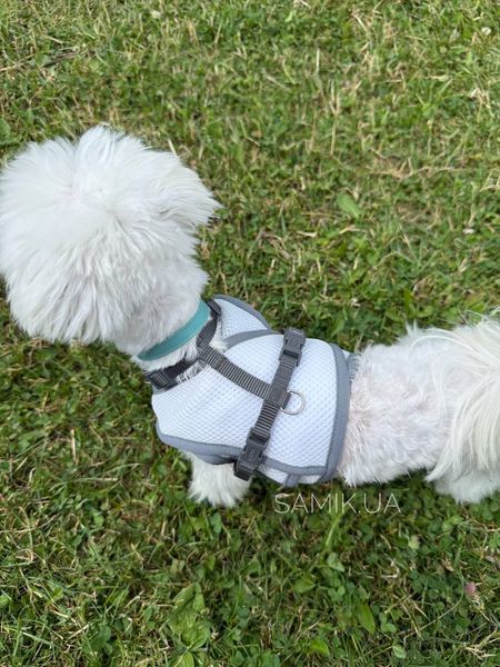 Охолоджувальний жилет для собак Pets World (4XL) 357 фото