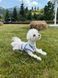 Охолоджувальний жилет для собак Pets World (4XL) 357 фото 6