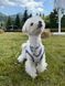 Охолоджувальний жилет для собак Pets World (4XL) 357 фото 10