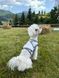 Охолоджувальний жилет для собак Pets World (4XL) 357 фото 8