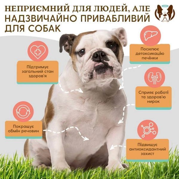 Вітамінний комплекс для печінки та нирок Liver & Kidney Supplement Natural Dog Company (90 шт / уп) 1339 фото