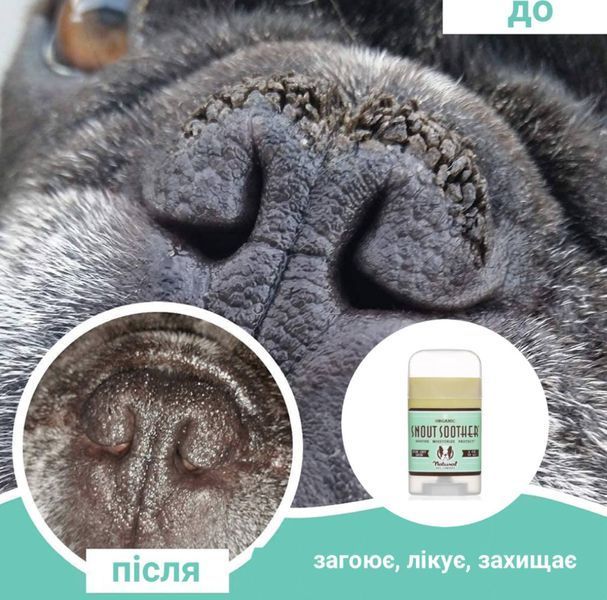Бальзам для носика Snout Soother Natural Dog Company 260 фото