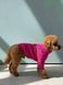 Светр вʼязаний &laquo;Косичка&raquo; Dogs Bomba (малиновий 2) 625 фото 3
