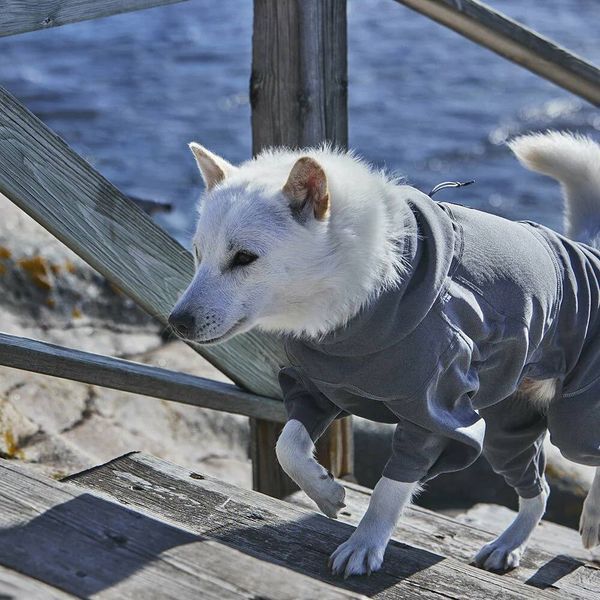 Утеплений комбінезон для собак Hurtta Midlayer Overall (сірий, 65M) 791 фото