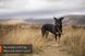 Шлейка для собак Line harness 5.0 Non-stop dogwear (зелений 1) 259 фото 2
