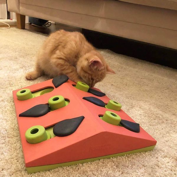 Інтерактивна іграшка Nina Ottosson Puzzle & Play Melon Madness Головоломка "Кавун" для котів 684 фото