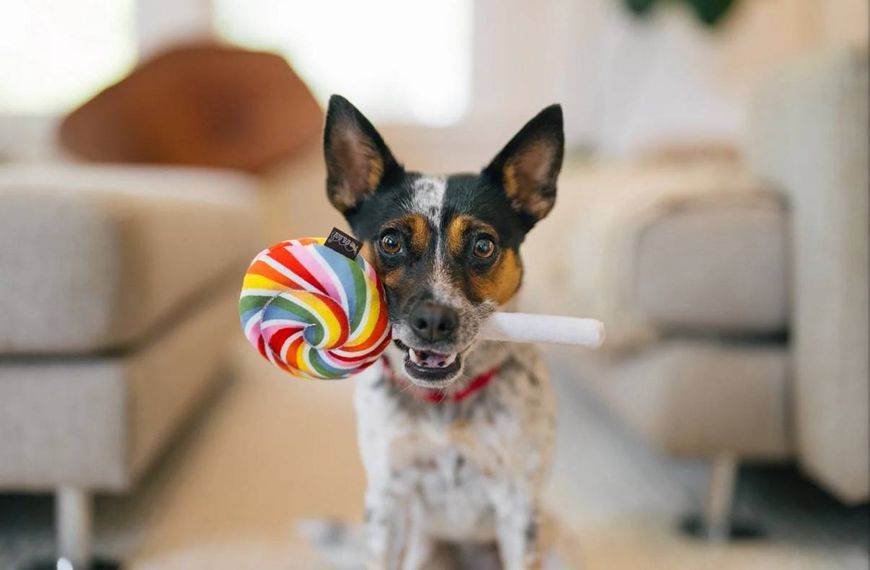 Іграшка для собак Snack Attack - Lollipup Pet Play (standard) 928 фото