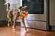 Іграшка для собак Snack Attack - Puppy-roni Pizza Pet Play (mini) 929 фото 3