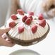 Пошукова іграшка для собак BERRY PIE Lambwolf 911 фото 9