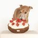 Пошукова іграшка для собак BERRY PIE Lambwolf 911 фото 2