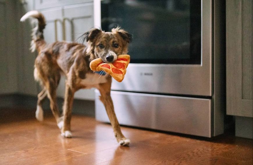 Іграшка для собак Snack Attack - Puppy-roni Pizza Pet Play (mini) 929 фото