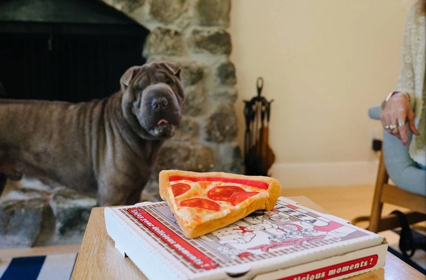 Іграшка для собак Snack Attack - Puppy-roni Pizza Pet Play (mini) 929 фото