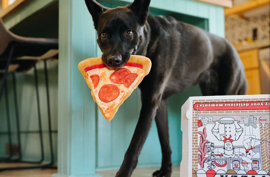 Іграшка для собак Snack Attack - Puppy-roni Pizza Pet Play (mini) 929 фото
