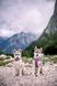 Нашийник для собак Alpha 360 Wooly Wolf (S) 500 фото 7