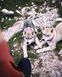 Нашийник для собак Alpha 360 Wooly Wolf (S) 500 фото 8