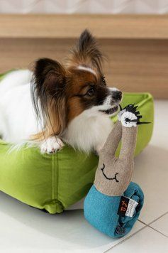 Пошукова іграшка для собак Равлик Happy Peppy (блакитний+беж) 641 фото